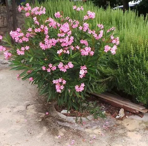 Stipina Zadar County